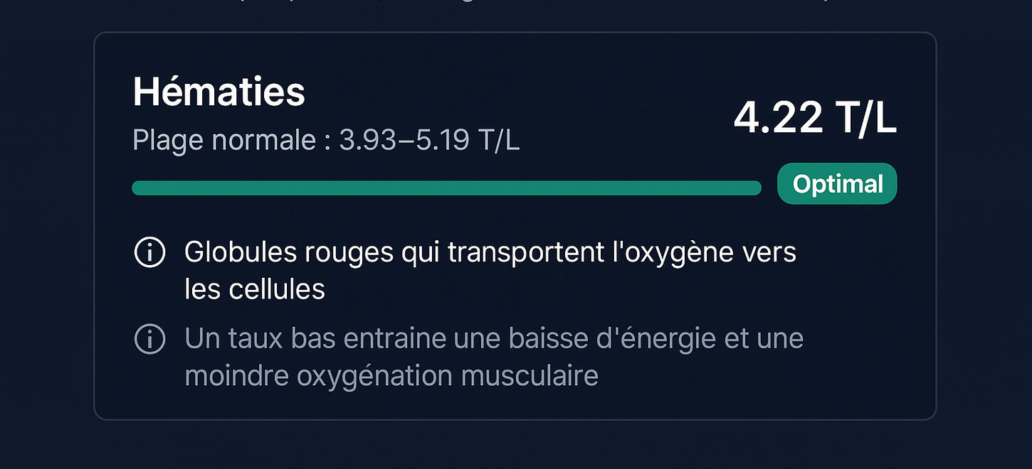 Votre plan d&#39;action